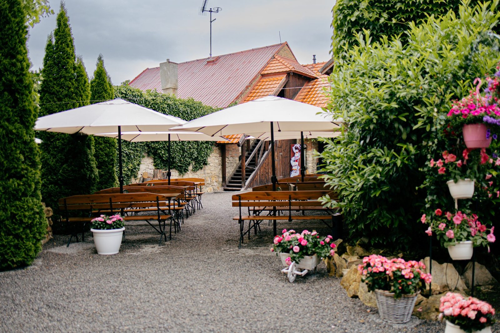 Тераса Citadela Restaurant серед зелені